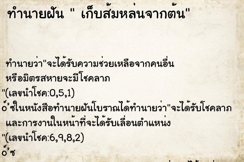 ทำนายฝันเก็บส้มหล่นจากต้น ทำนายฝันทำนายฝันเก็บส้มหล่นจากต้น